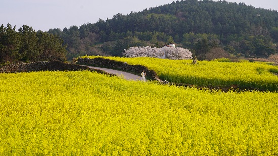 5   Ʊ׷ 츮Ƽ, ϵ û굵