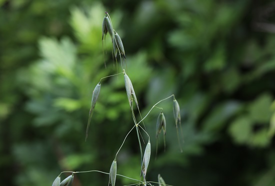 ô���� �� ȯ�漭 ��Ƴ��� ���ޱ͸���, ���ĺ�ȭ �̰ܳ� �ܼ� ����