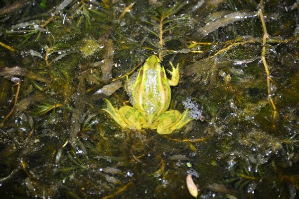 �������� ������ ���� 9���� �������� �߻����� 9�� Ȯ��