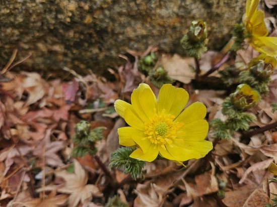 ���� ���� ������, ����꿡�� ���ݰ� ��ȭ