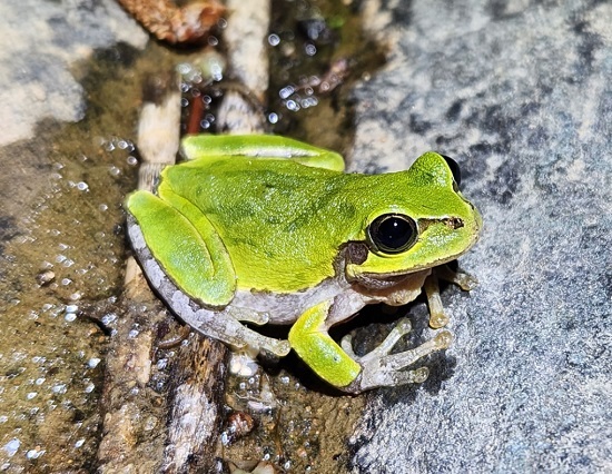 ����ȣ���ǻ����ڿ���, 263�� �� ���� ��� �� 60%�� ������ ���� Ȯ��