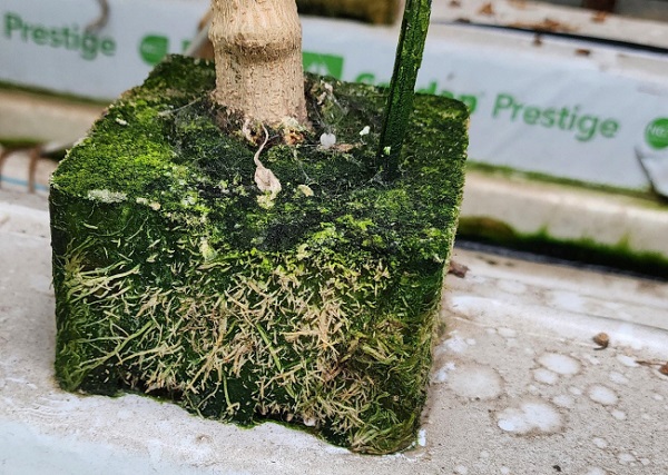 óġ��� ����λ깰 ��ϸ�, ������ �ڿ����� ��Ȱ��