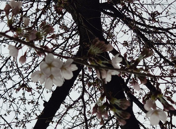 3�� 29��, ����� ���ǵ� ���߷� ���� ��ȭ